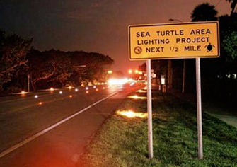 Photograph of State Road A1A at night, showing the illuminated embedded lighting and a roadside sign that reads ’Sea Turtle Area: Lighting Project: Next 1/2 Mile’
