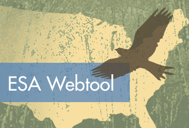 ESA Webtool Go to the ESA Webtool