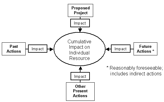 Flow Chart: Central circle 'Cumulative Impact on Individual Resource'. Four boxes around circle (Other Present Actions, Past Actions, Proposed Project, and Future Actions) all lead thru Impact boxes to central circle. Foot note for Future Actions: Reasonalby forseeable; includes indirect actions.