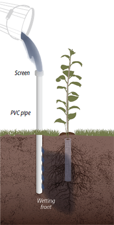 Deep pot irrigation